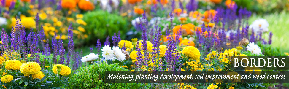 Gardener Macclesfield, Cheshire