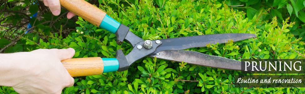 Gardener Macclesfield, Cheshire