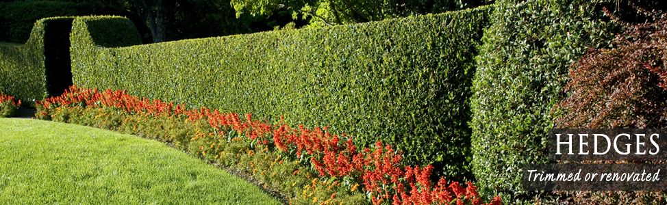 Gardener Macclesfield, Cheshire